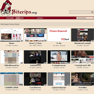 SiteRips - SiteRips.org is a website which contains a vast amount of pornographic content uploaded and store...