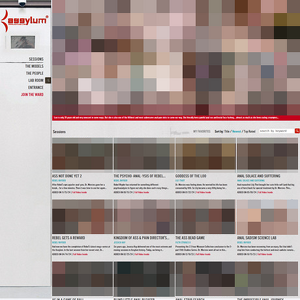 Assylum - The Assylum.com is a top notch, 4K quality, masterpiece of a website that features cutting edge c...