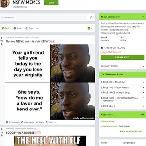 Reddit NSFW Memes - Reddit.com is a remarkable source of NSFW porn. One of their undeniably funky subreddits r/Memes ...